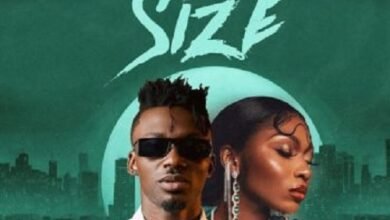 Freddy Blaze Ft Sefa - Size